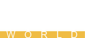 DCS World logo